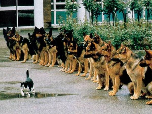 ��������� !